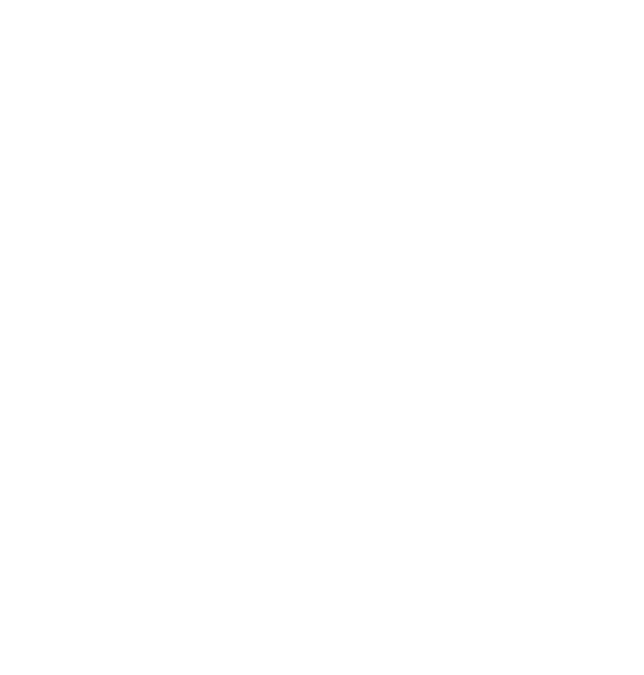 04_NET logo